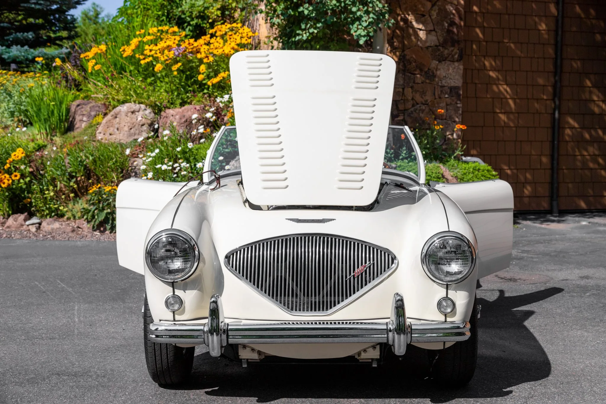 1956_austin-healey_100_bn2_roadster_1628541554d565ef66e7dff9f1956_austin-healey_100_bn2_roadster_1628541547f66e7dff9f98764da33eed9bc-a9cc-4cf8-bc12-a6aa6424351f-aff6vh-scaled