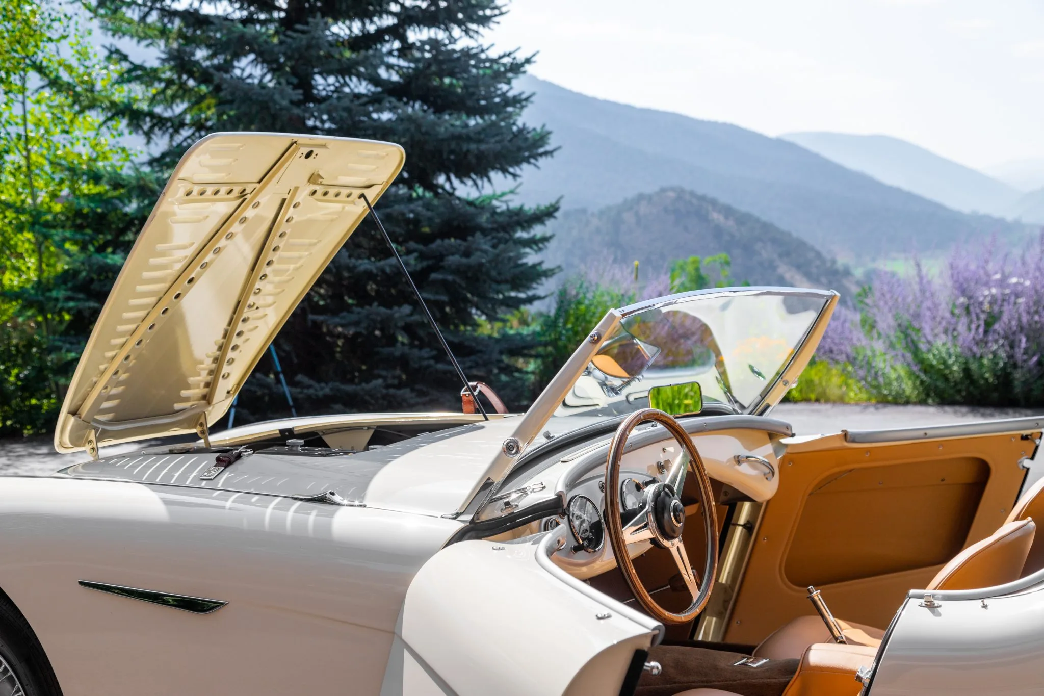 1956_austin-healey_100_bn2_roadster_1628541566dff9f98764da1956_austin-healey_100_bn2_roadster_16285415655d565ef66e7dffb013cb26-eb5a-4ab2-b1c8-58748f6d39c5-2U77lw-scaled